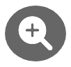 Zoom Icon